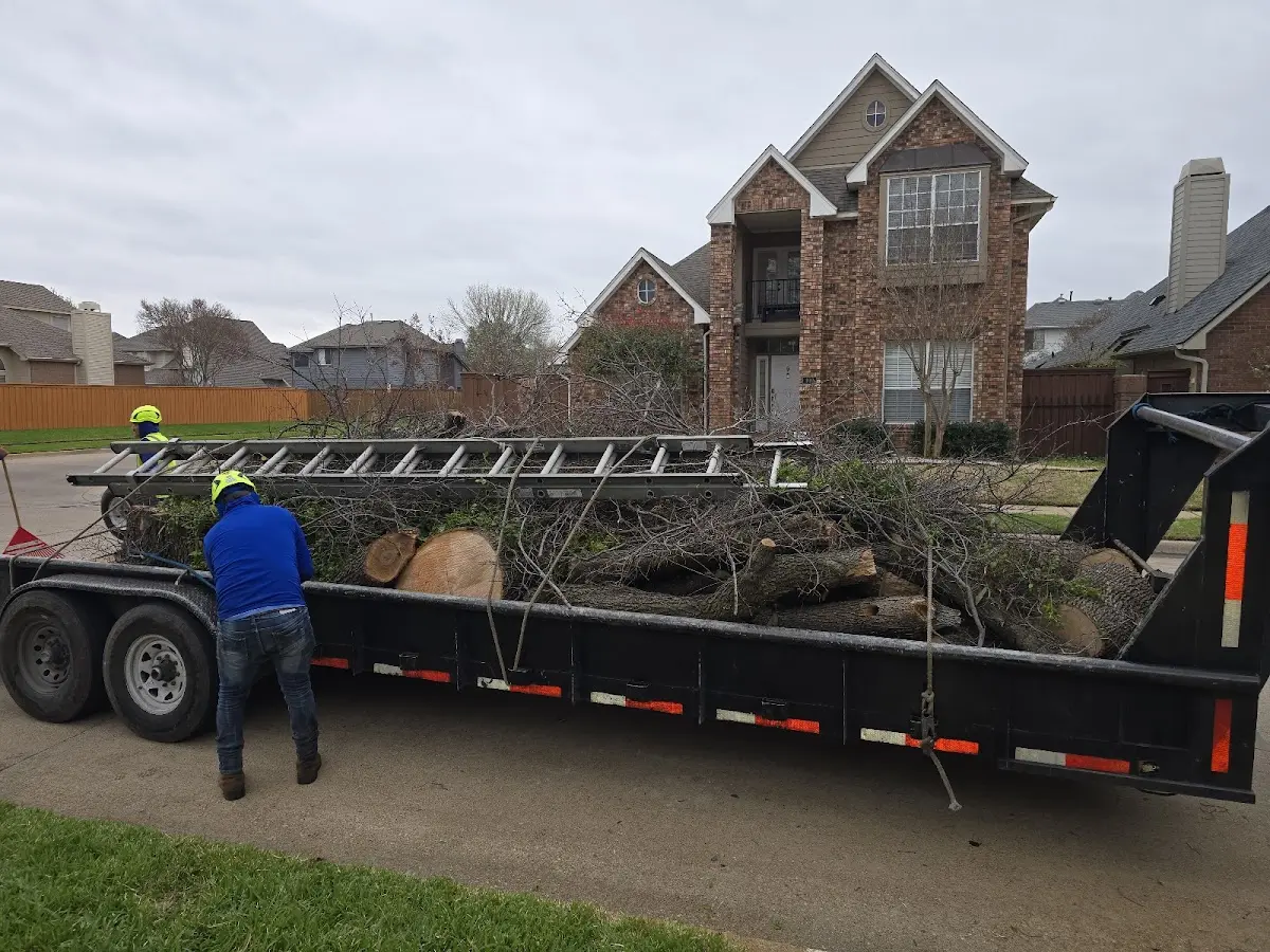 Expert Crown Reduction with proper safety equipment in Saint Marys